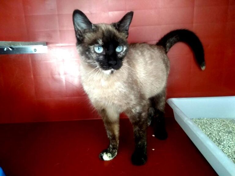 multimedia-foto62227-750-1