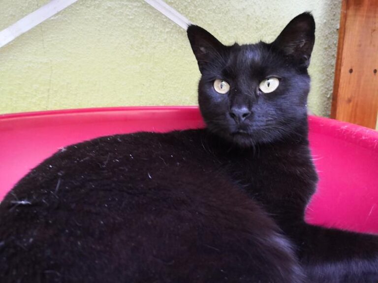 multimedia-foto62247-409-1