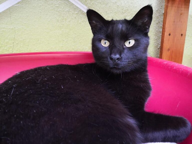 multimedia-foto62248-409-1