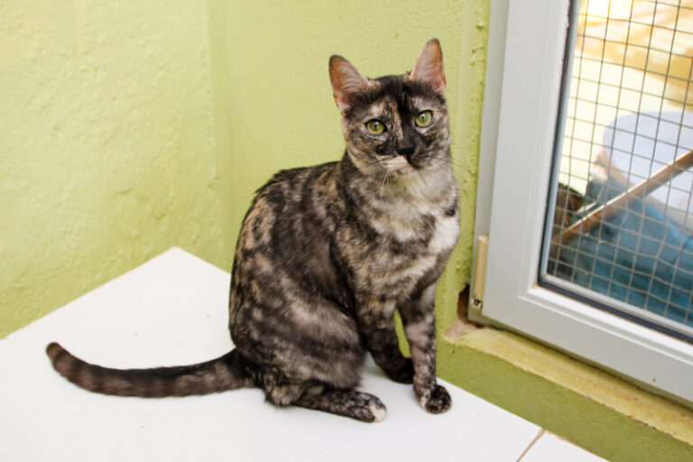 multimedia-foto62253-567-1