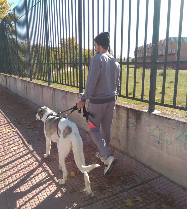 multimedia-foto62257-999-1