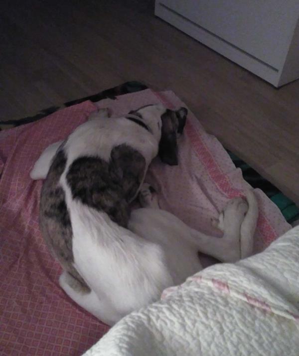 multimedia-foto62259-999-1