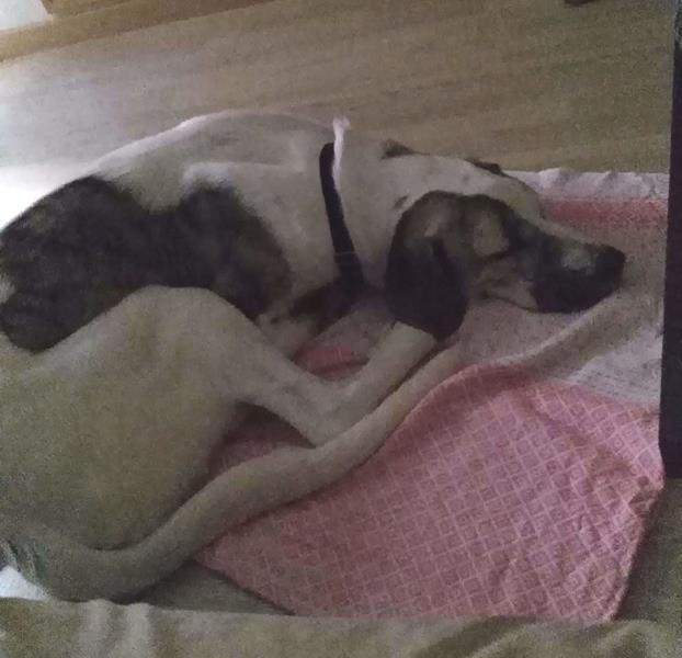 multimedia-foto62260-999-1