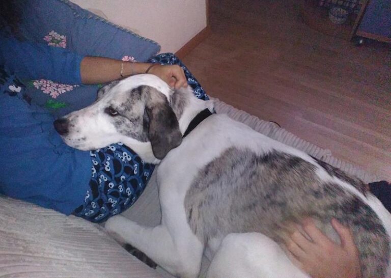 multimedia-foto62262-1000-1