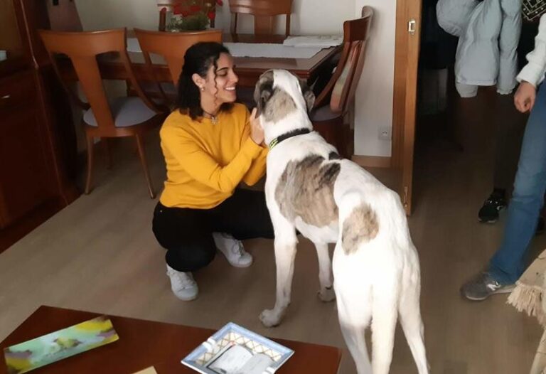 multimedia-foto62264-1000-1