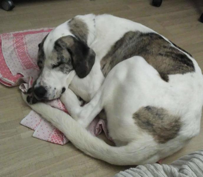 multimedia-foto62266-1000-1