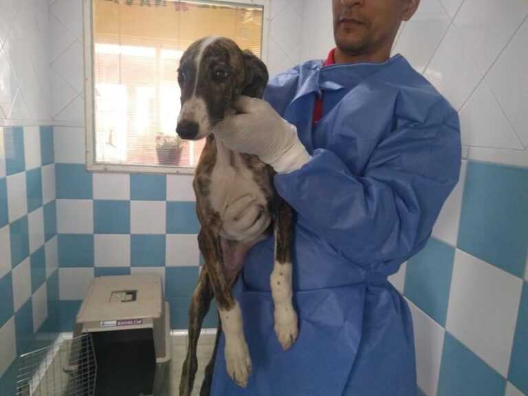 multimedia-foto62293-22-1