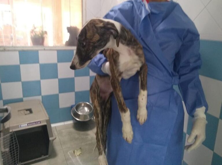 multimedia-foto62294-22-1