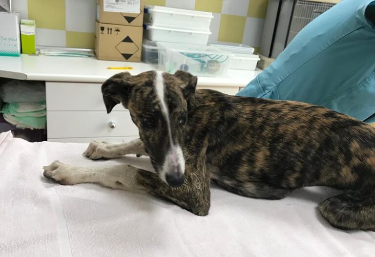 multimedia-foto62297-23-1