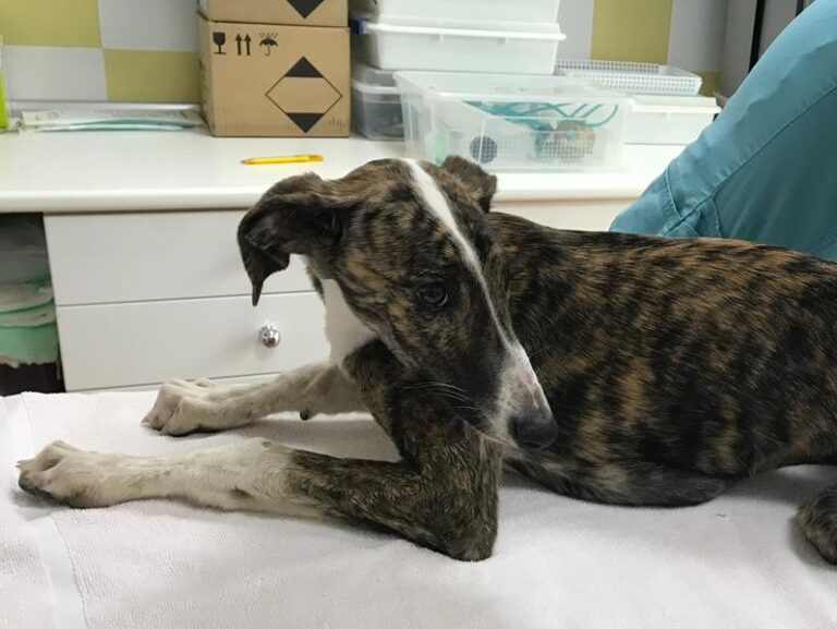 multimedia-foto62298-23-1