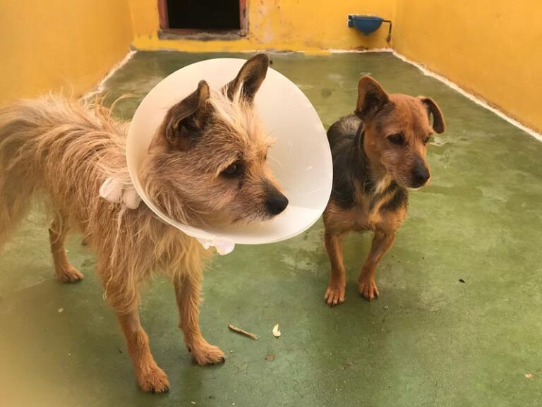 multimedia-foto62308-655-1