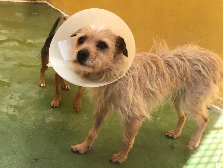 multimedia-foto62309-655-1