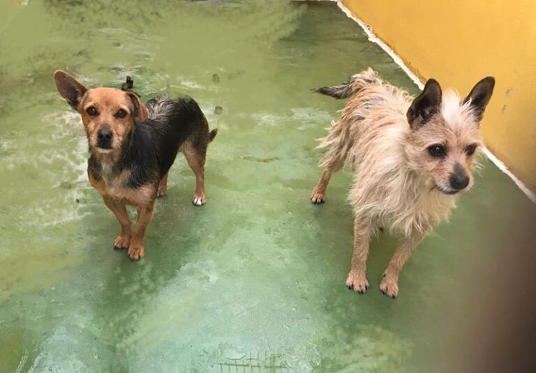 multimedia-foto62310-655-1