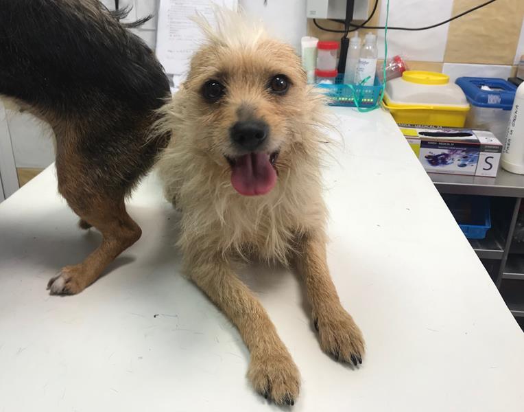 multimedia-foto62311-655-1