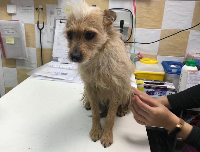 multimedia-foto62312-655-1