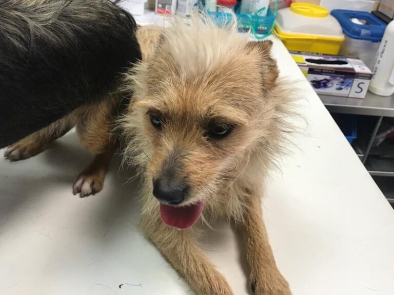 multimedia-foto62313-655-1