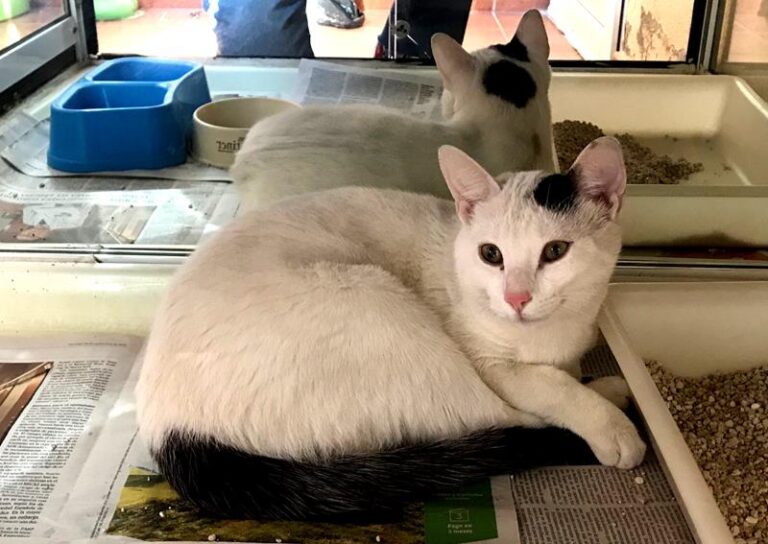 multimedia-foto62320-824-1