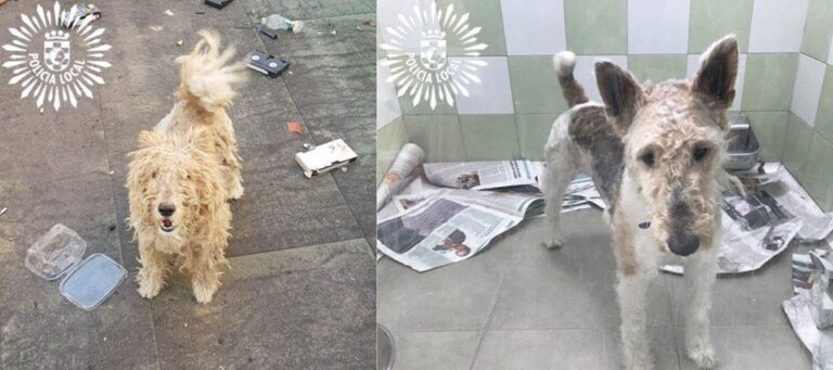 multimedia-foto62322-976-1