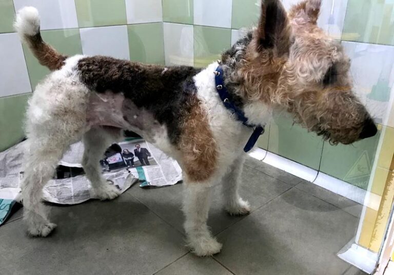 multimedia-foto62323-976-1