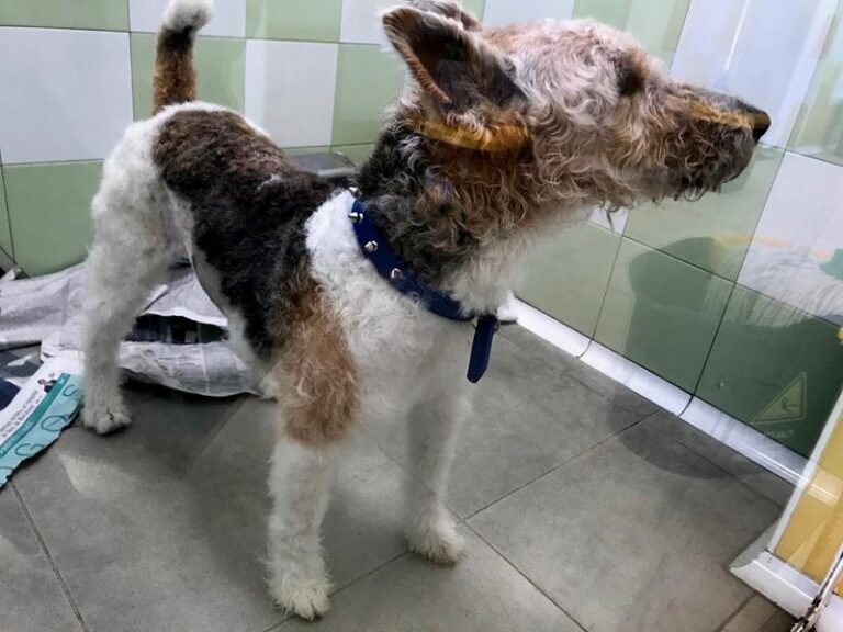 multimedia-foto62325-977-1