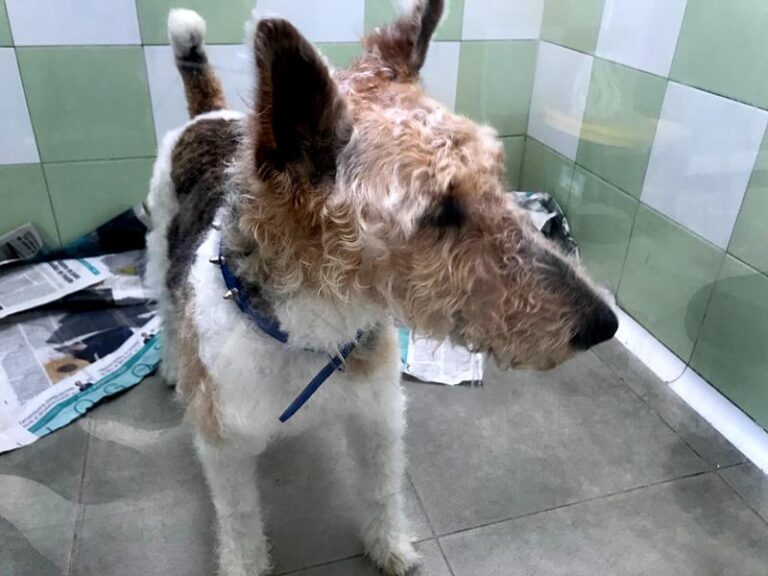 multimedia-foto62326-977-1