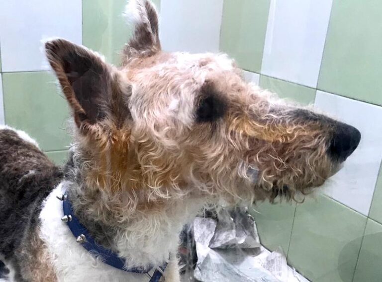 multimedia-foto62327-977-1