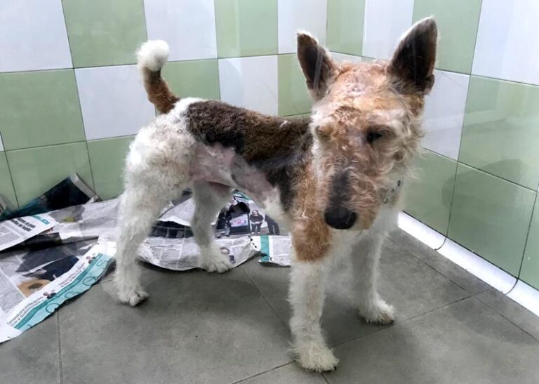 multimedia-foto62328-977-1