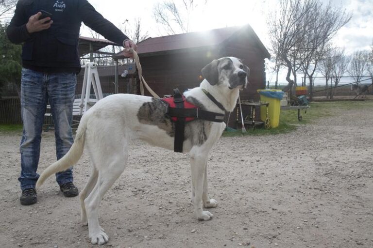 multimedia-foto62329-812-1