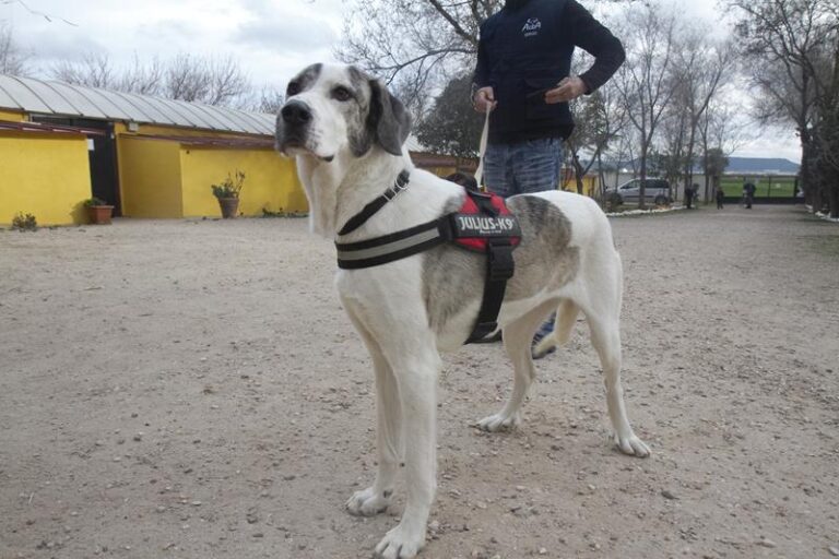 multimedia-foto62330-812-1