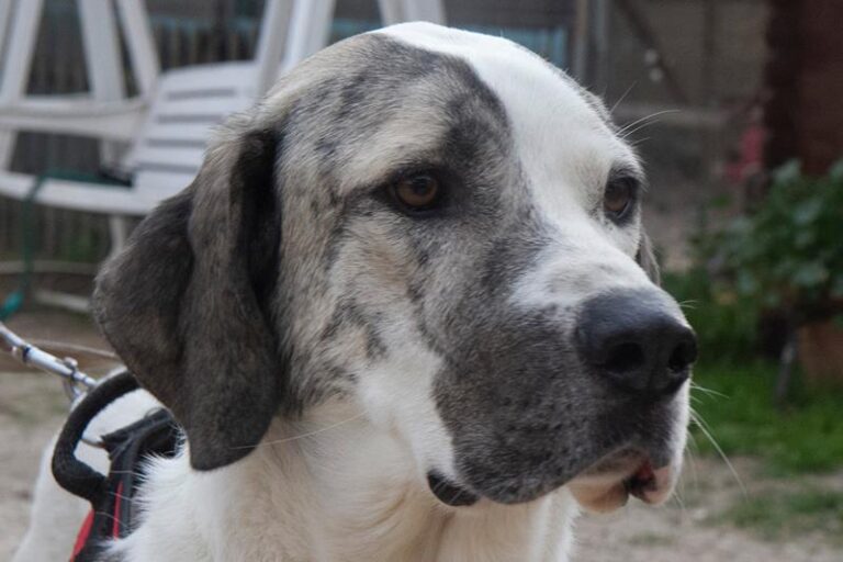 multimedia-foto62331-813-1