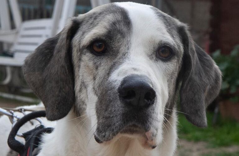 multimedia-foto62332-813-1