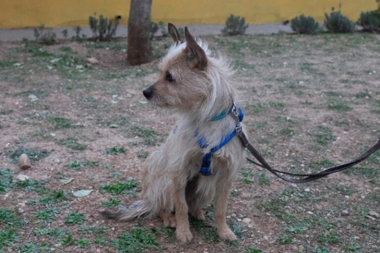 multimedia-foto62333-860-1