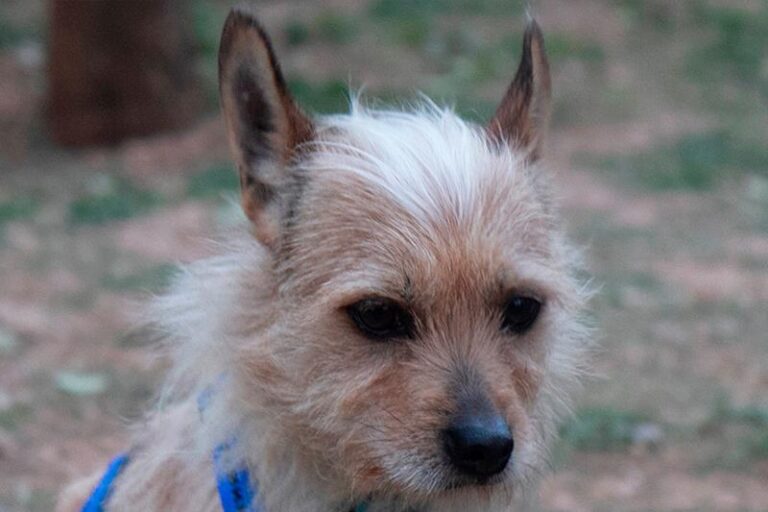 multimedia-foto62335-860-1