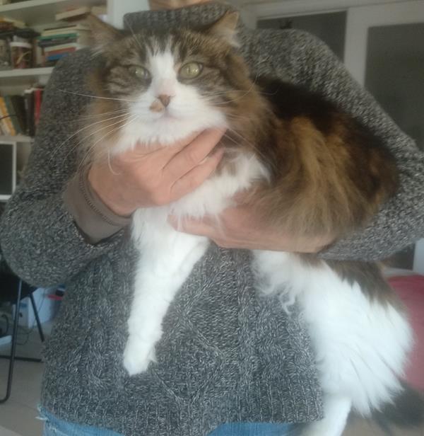 multimedia-foto62339-931-1