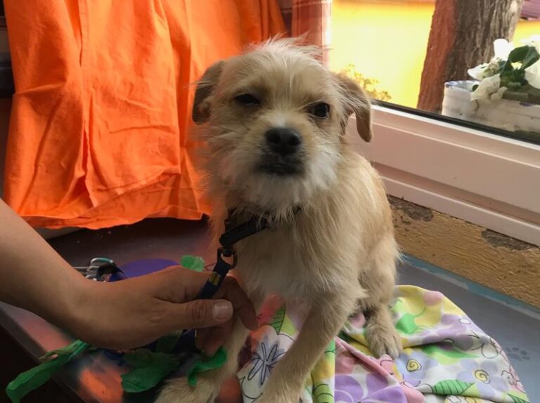 multimedia-foto62341-845-1