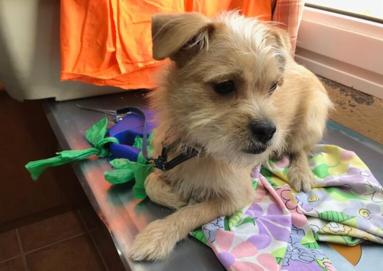 multimedia-foto62342-845-1