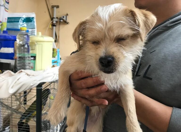 multimedia-foto62343-846-1