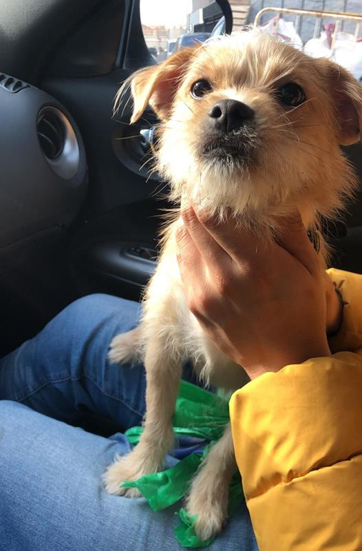 multimedia-foto62344-846-1