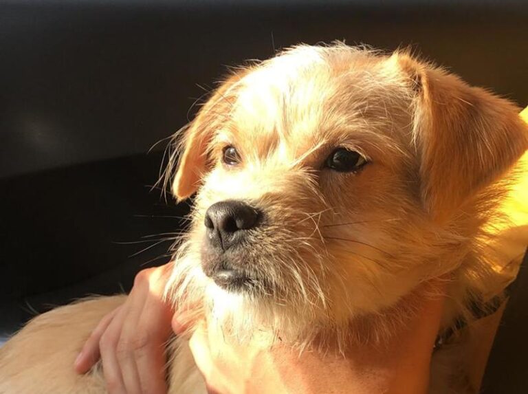 multimedia-foto62345-846-1