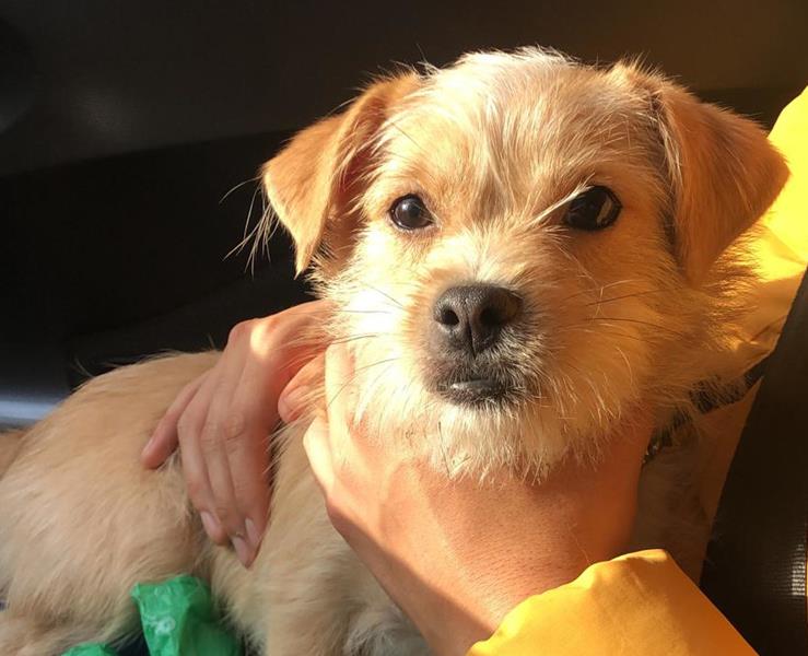 multimedia-foto62346-846-1