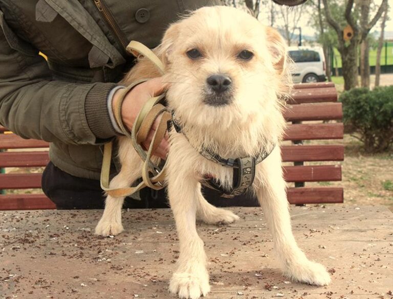 multimedia-foto62347-846-1