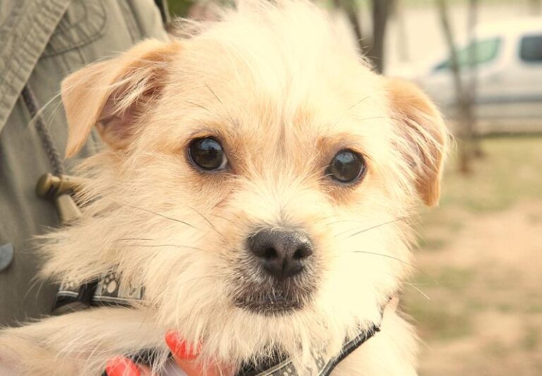 multimedia-foto62348-847-1