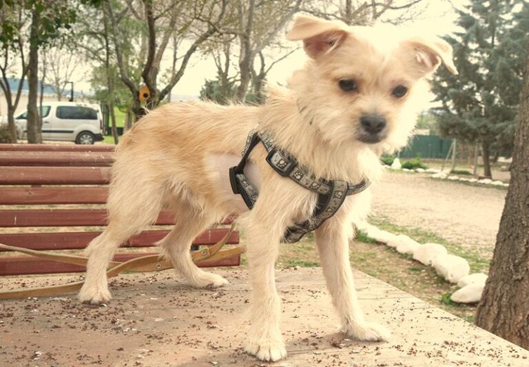 multimedia-foto62349-847-1