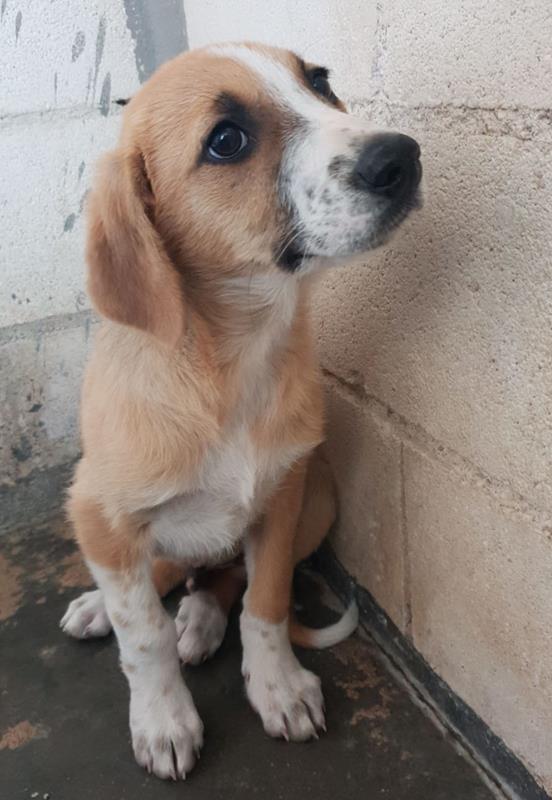 multimedia-foto62350-752-1