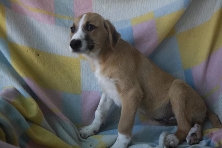 multimedia-foto62351-752-1