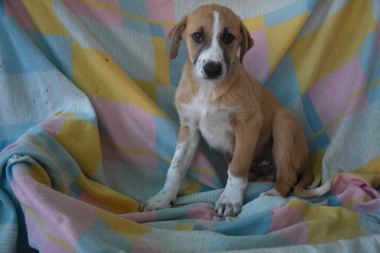 multimedia-foto62352-752-1