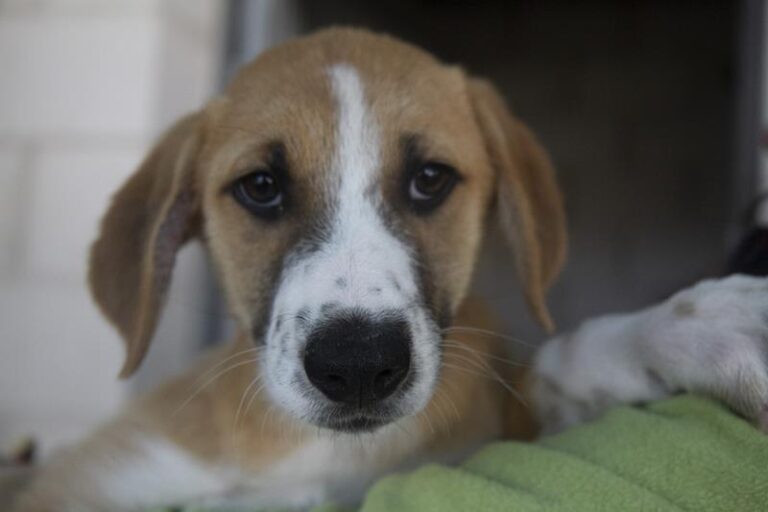 multimedia-foto62354-753-1