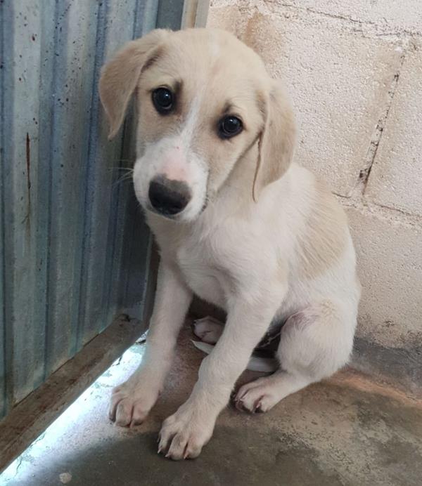 multimedia-foto62383-76-1