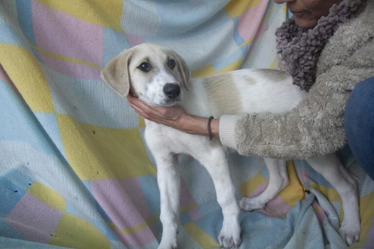 multimedia-foto62384-76-1