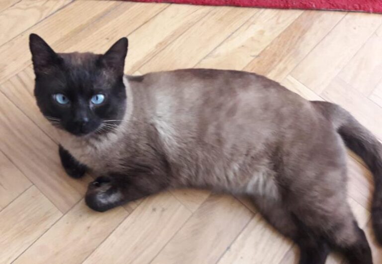 multimedia-foto62387-588-1